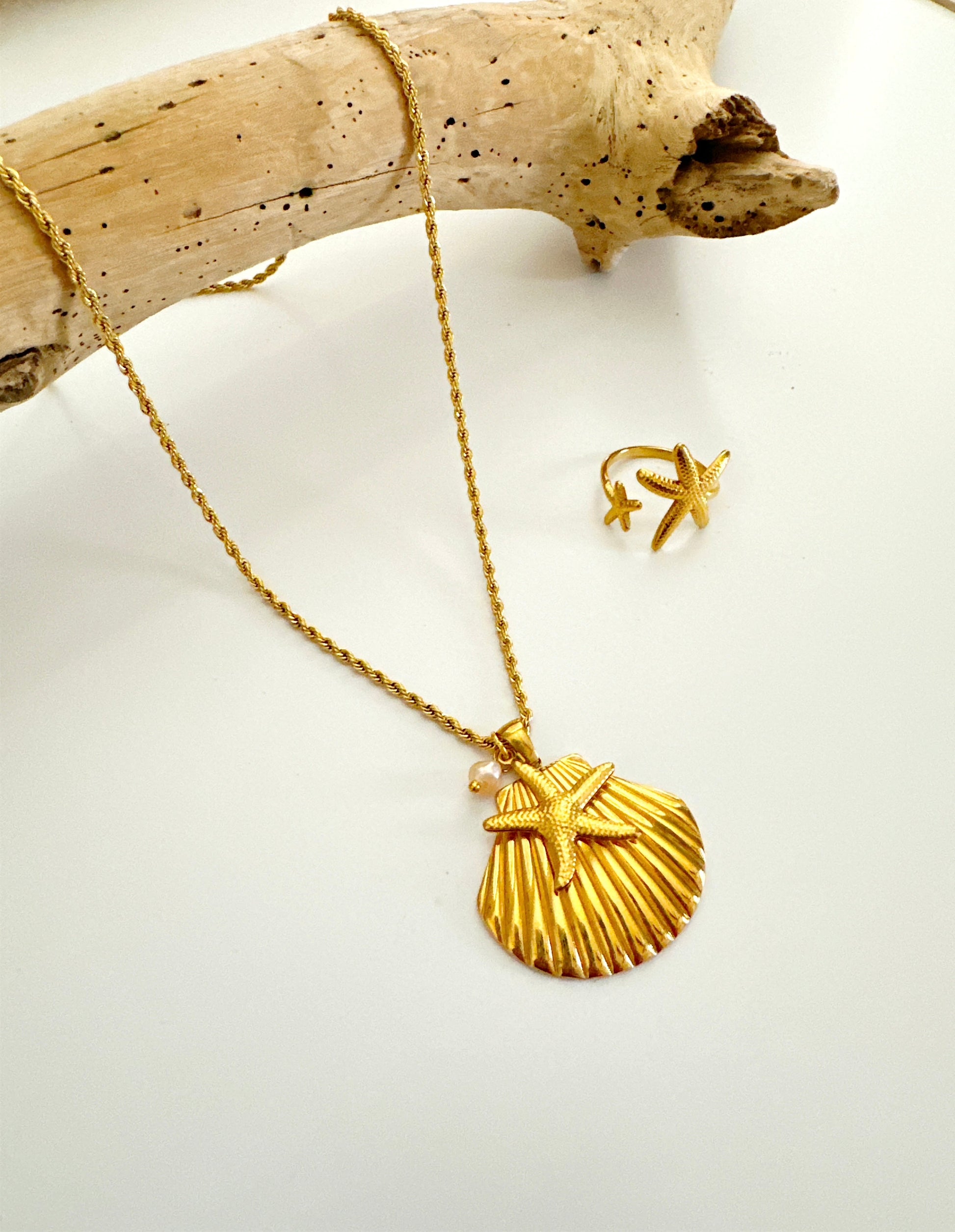 Scalloped Shell Necklace Adorn U