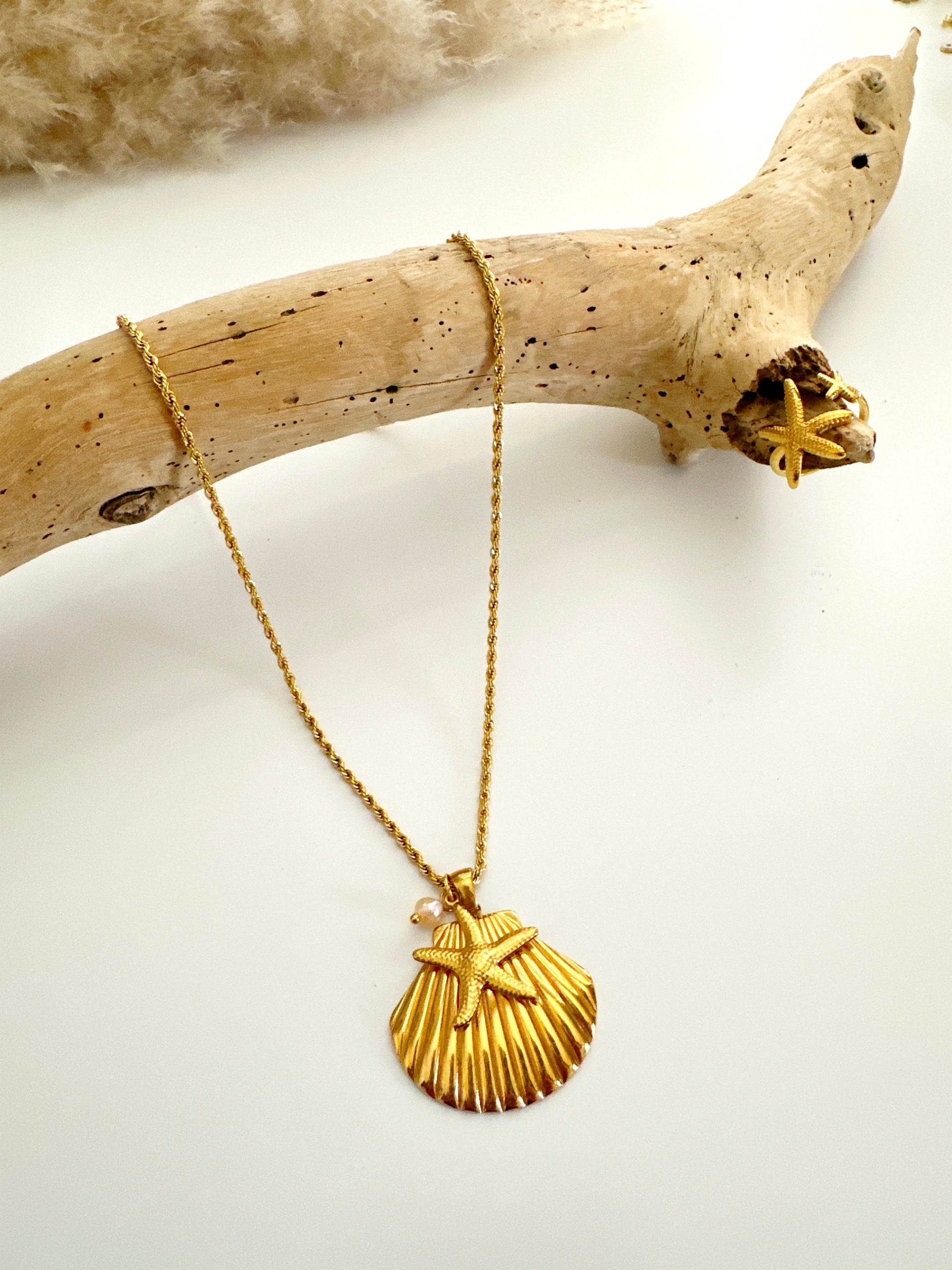 Scalloped Shell Necklace Adorn U
