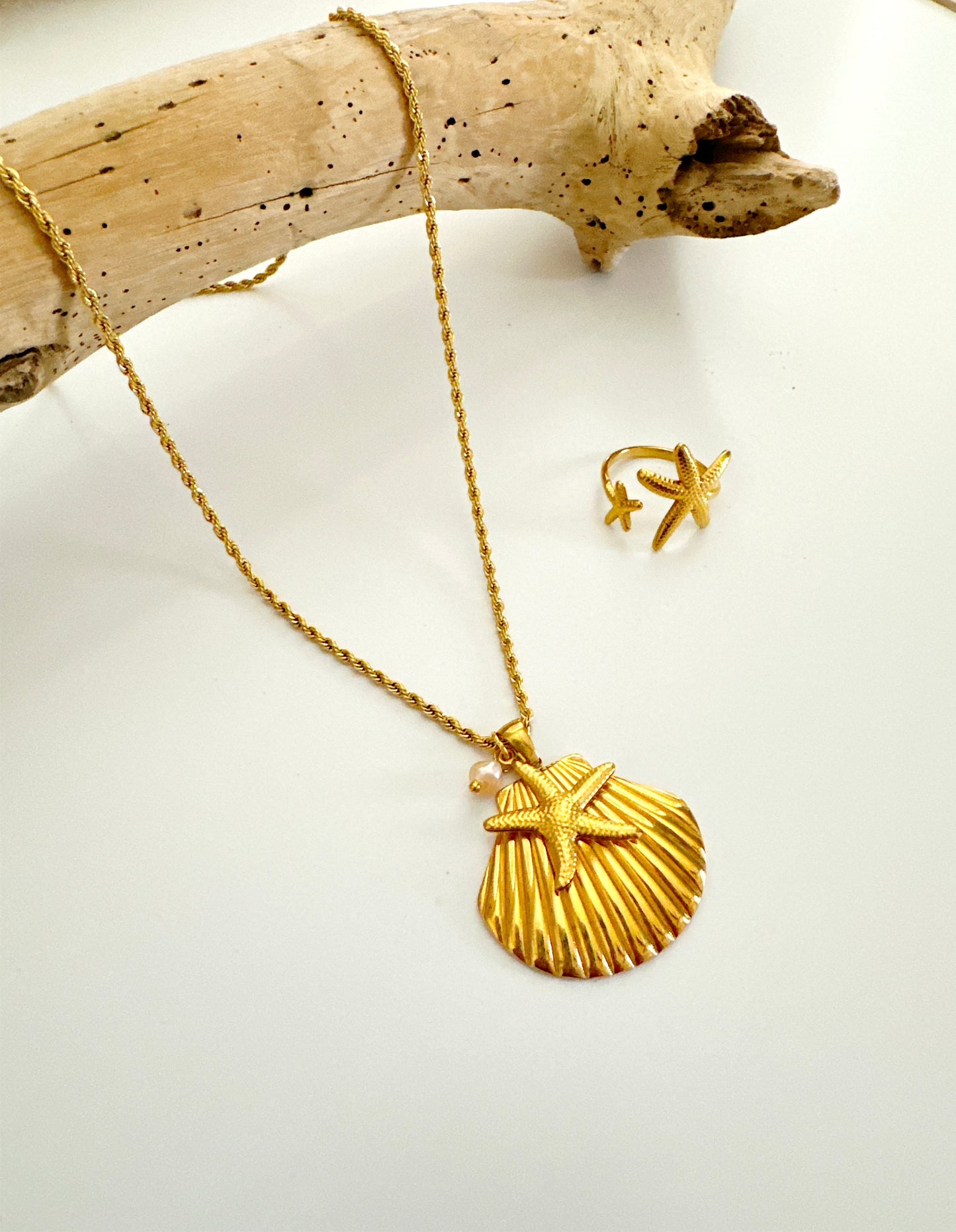 Scalloped Shell Necklace